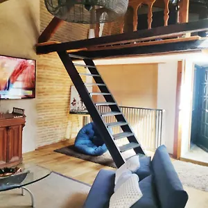 Chez Fanny - Le Loft - Centre Historique Cathedrale Apartment Cahors